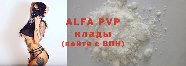 молекула духа Ладушкин