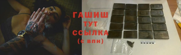 молекула духа Ладушкин
