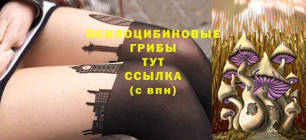 молекула духа Ладушкин