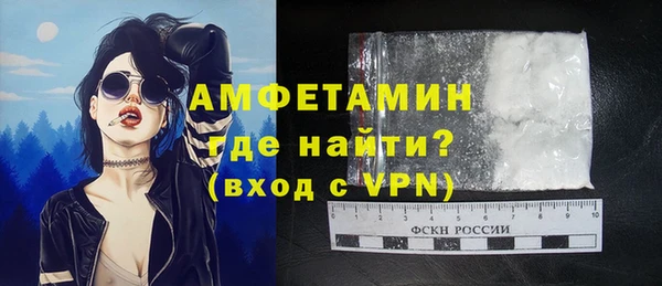 молекула духа Ладушкин