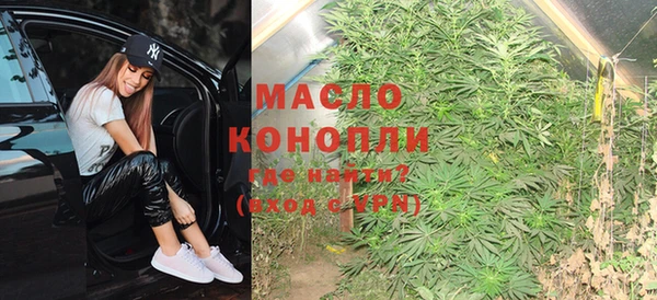 молекула духа Ладушкин