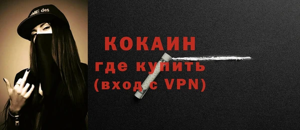молекула духа Ладушкин