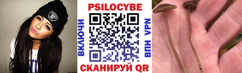 как найти закладки  Липки  Псилоцибиновые грибы мицелий 